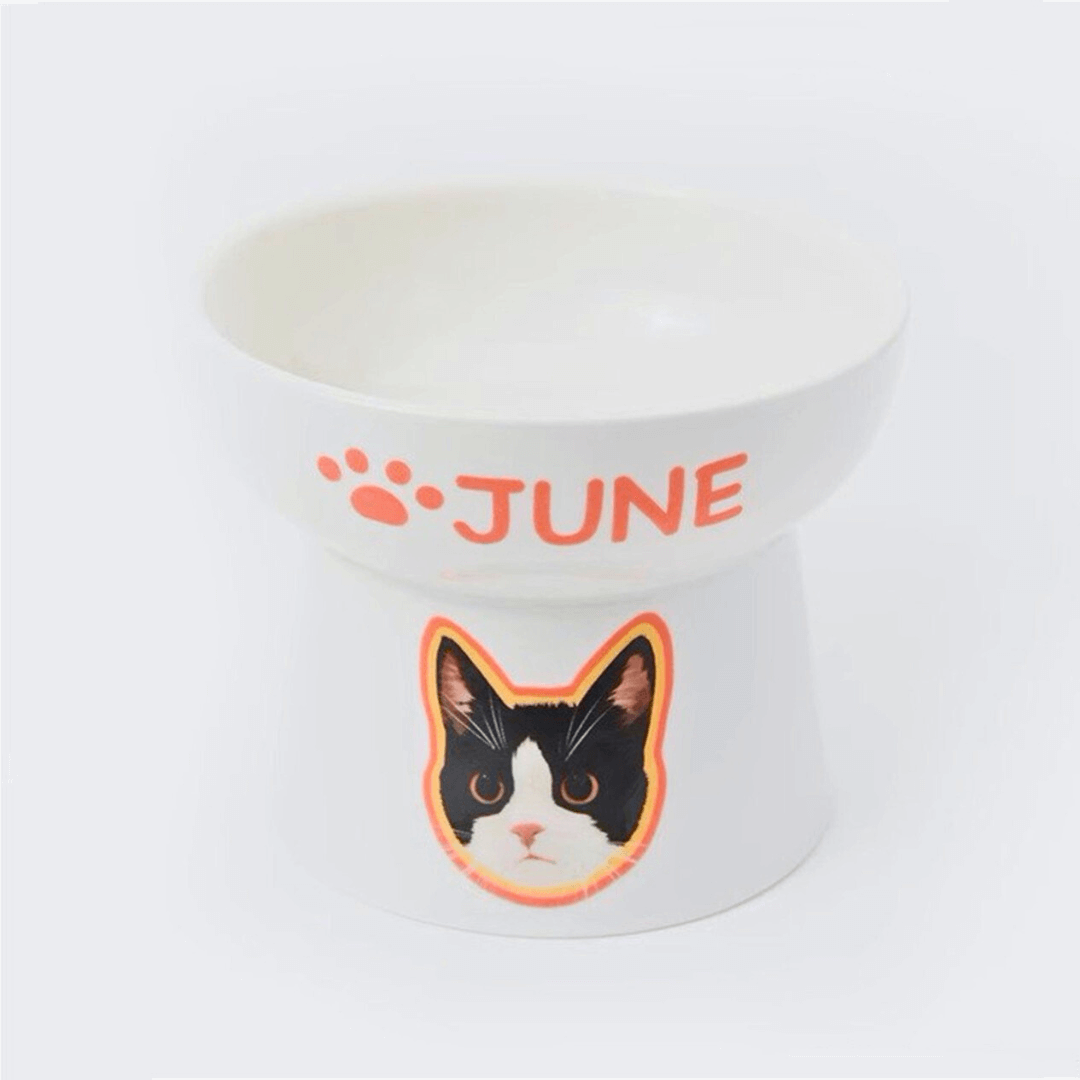 Custom Pet Portrait Elevated Ceramic Cat Dog Food Bowl with Digital File