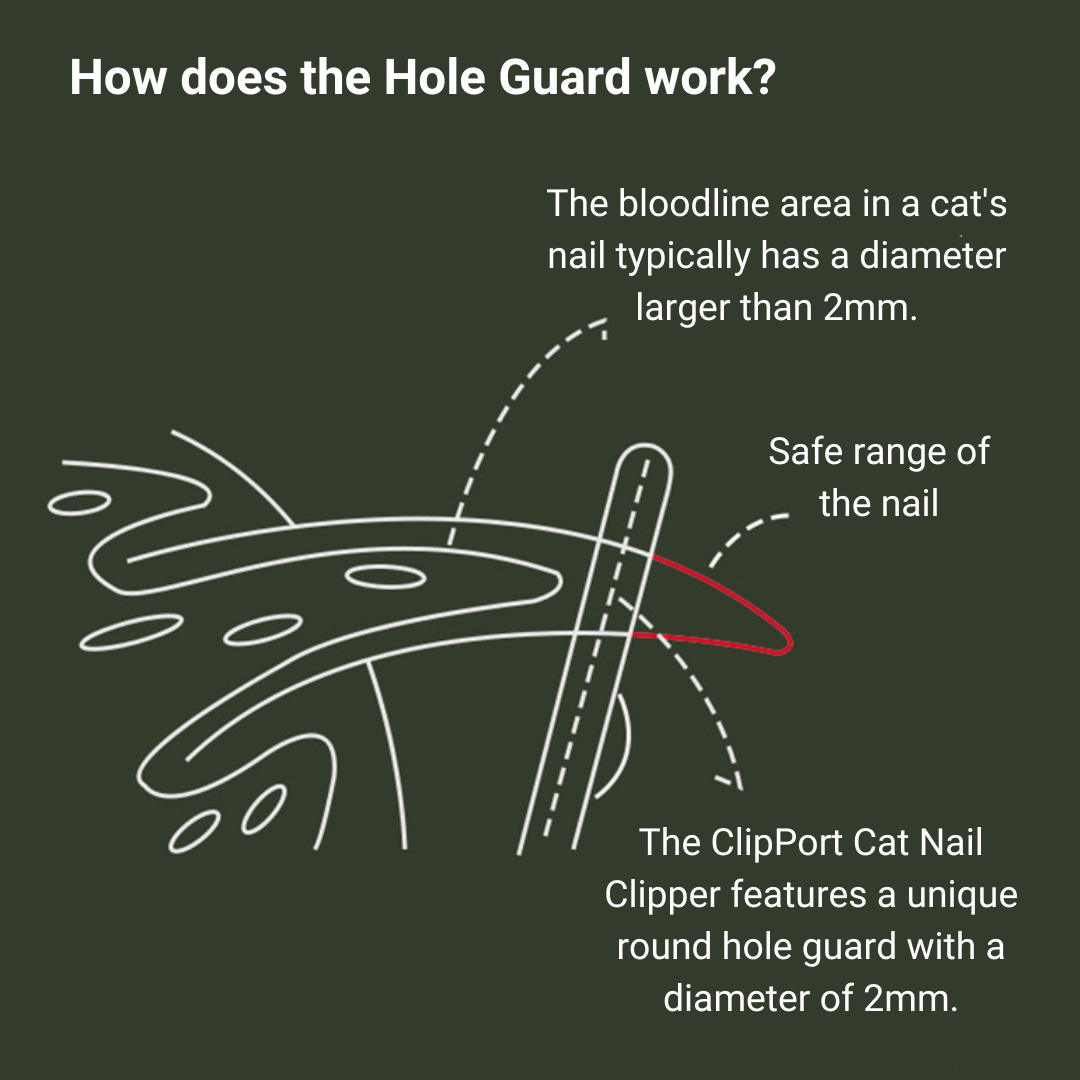 Guillotine Cat Nail Clipper with Safe Guard - Petites Paws
