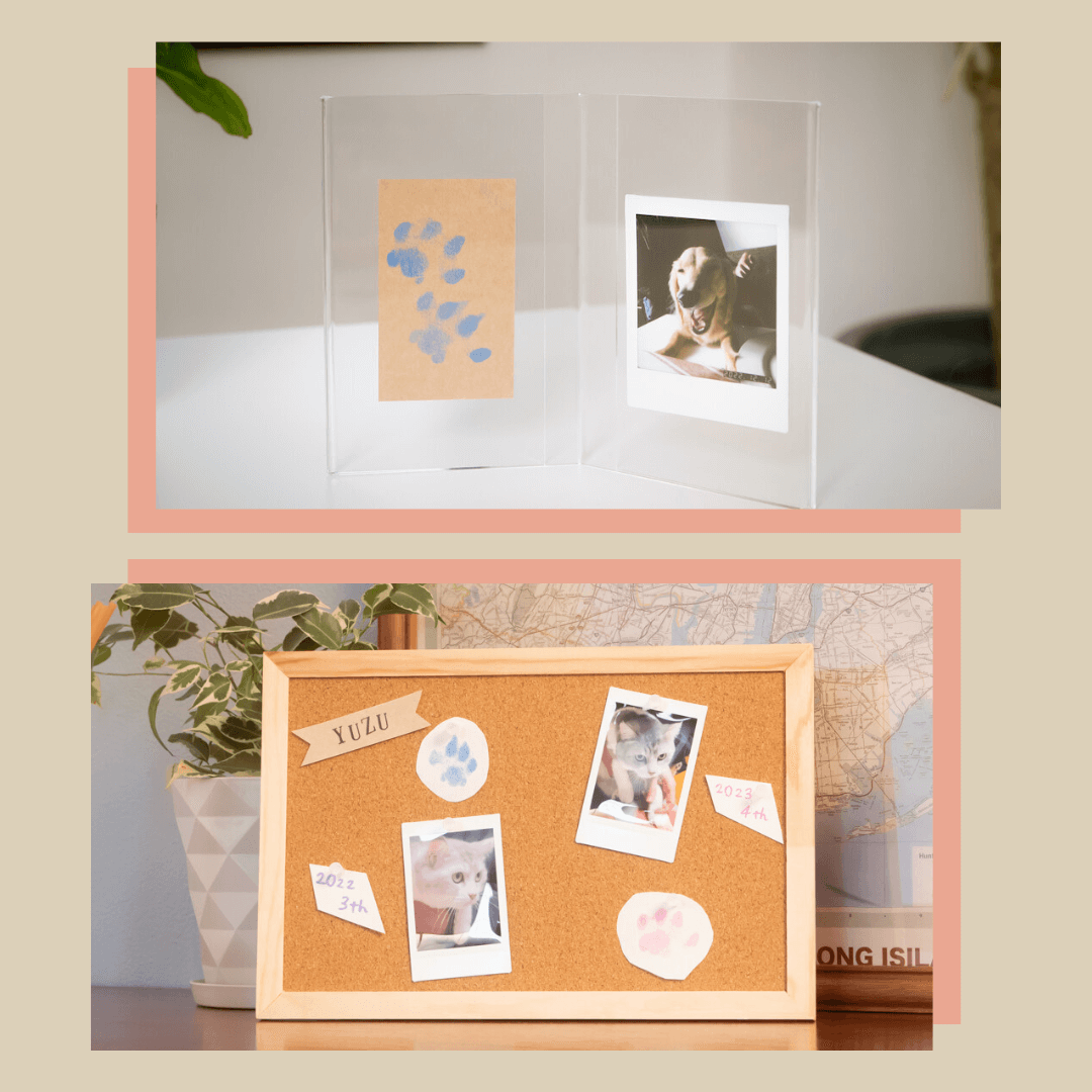 Multi-Use Reusable Inkless No Ink Touch Paw Print Kit
