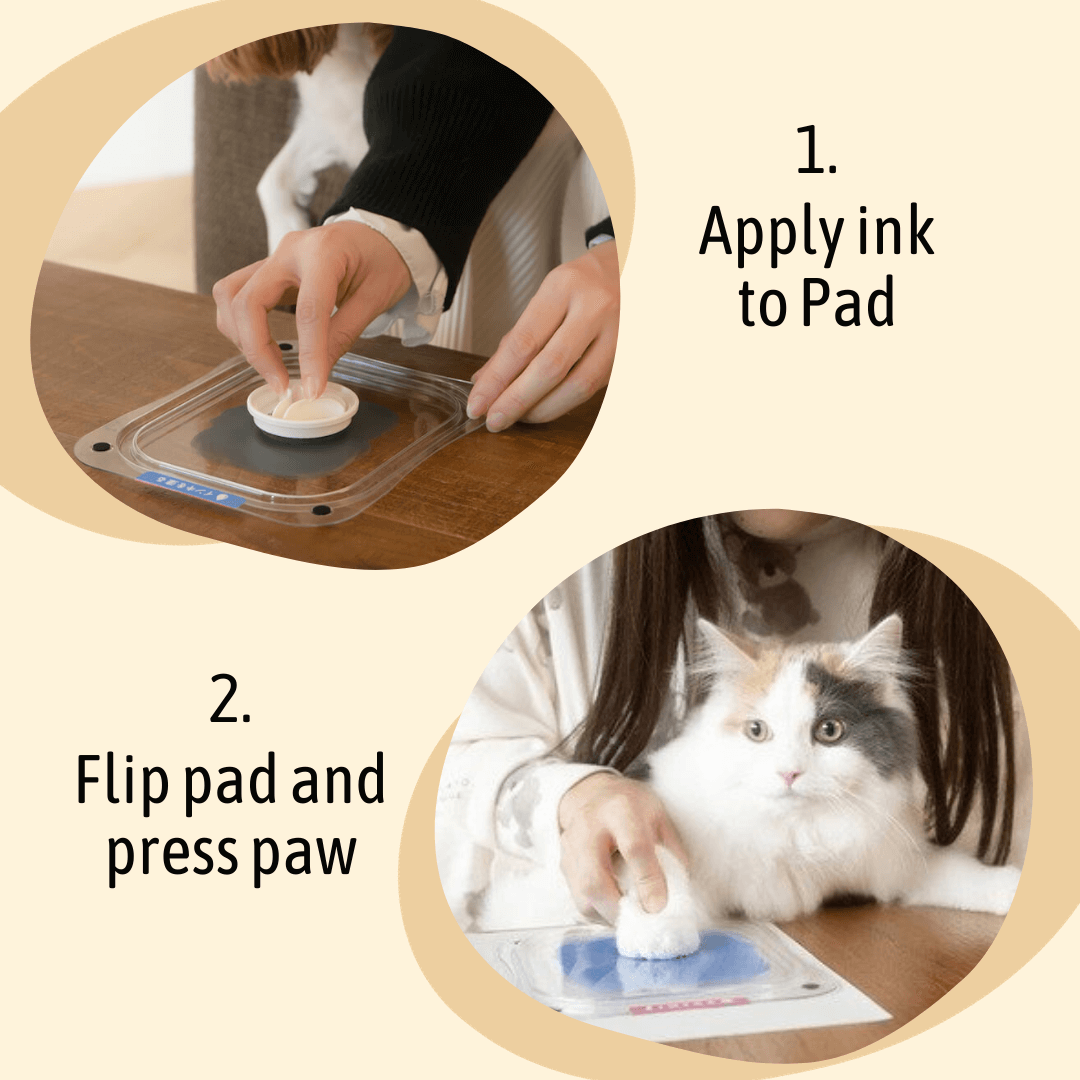 Multi-Use Reusable Inkless No Ink Touch Paw Print Kit