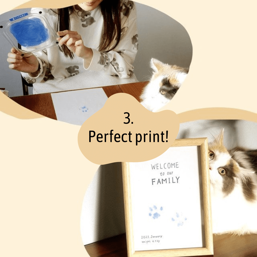 Multi-Use Reusable Inkless No Ink Touch Paw Print Kit