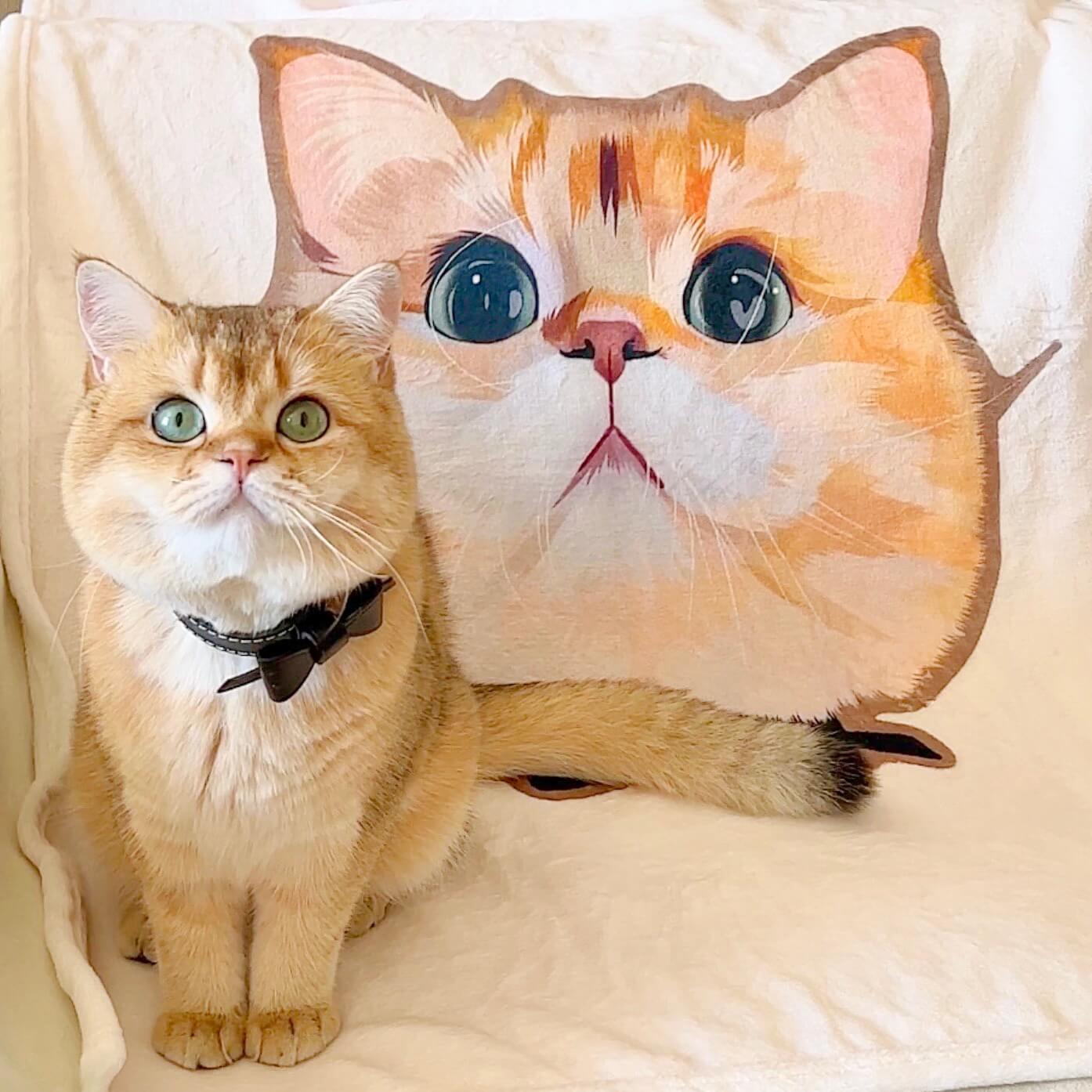 Custom Pet Cat Dog Portrait Blanket