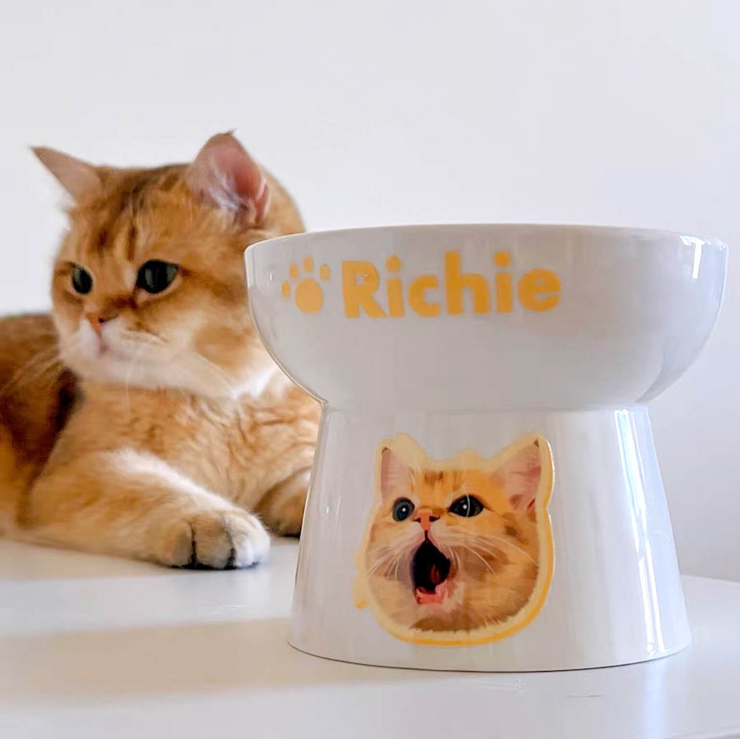 Custom Pet Portrait Elevated Ceramic Cat Dog Food Bowl with Digital File