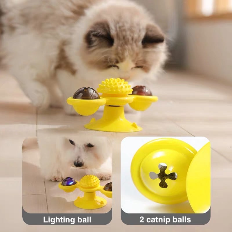 Cat Fidget Spinner - Petites Paws