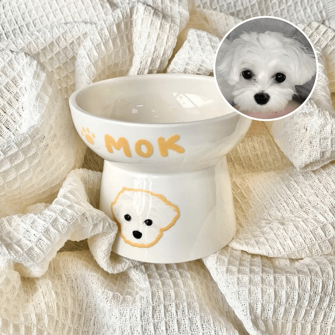 Custom Pet Portrait Elevated Ceramic Cat Dog Food Bowl with Digital File