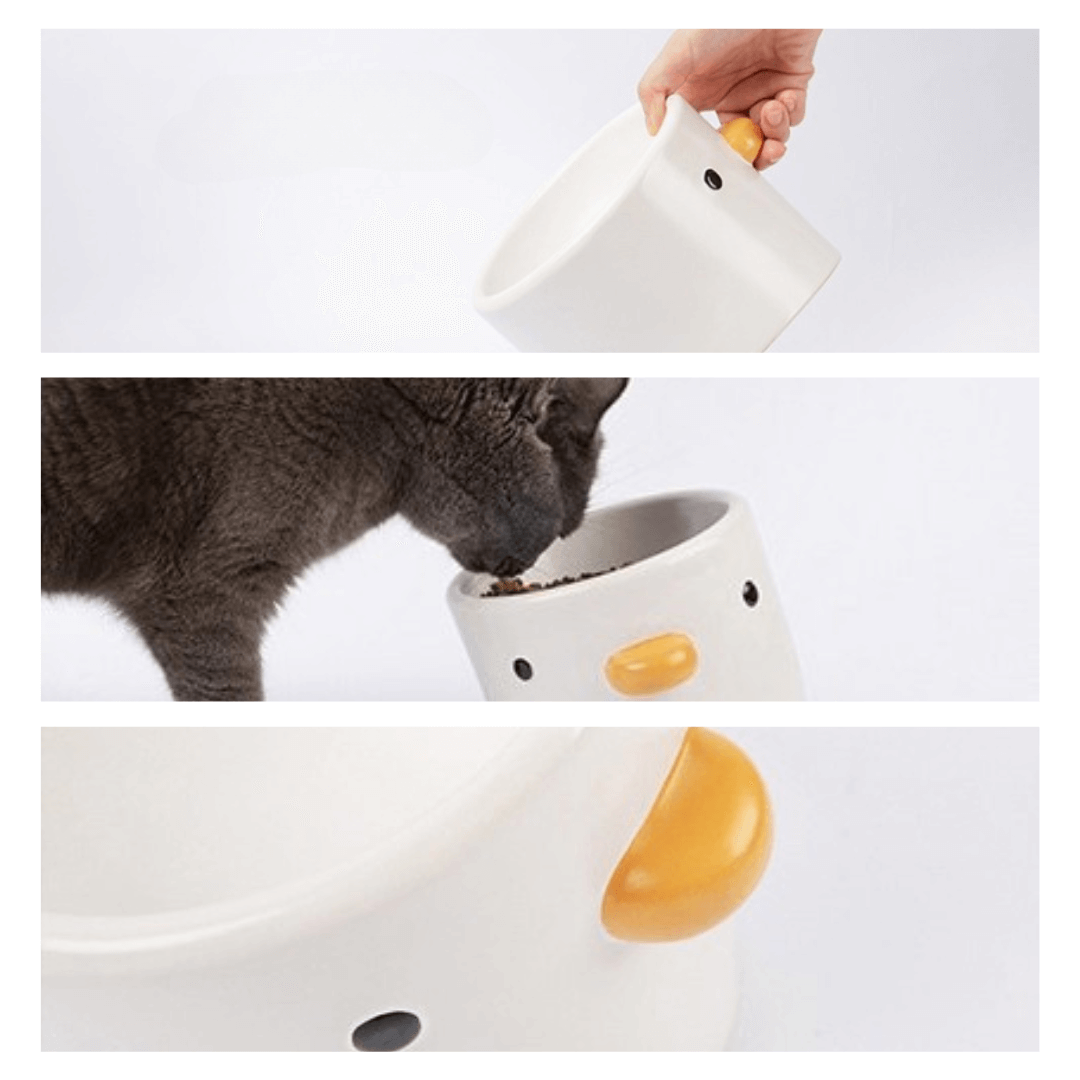 Chirpy Chick Tilted Ceramic Cat Feeding Bowl - Petites Paws