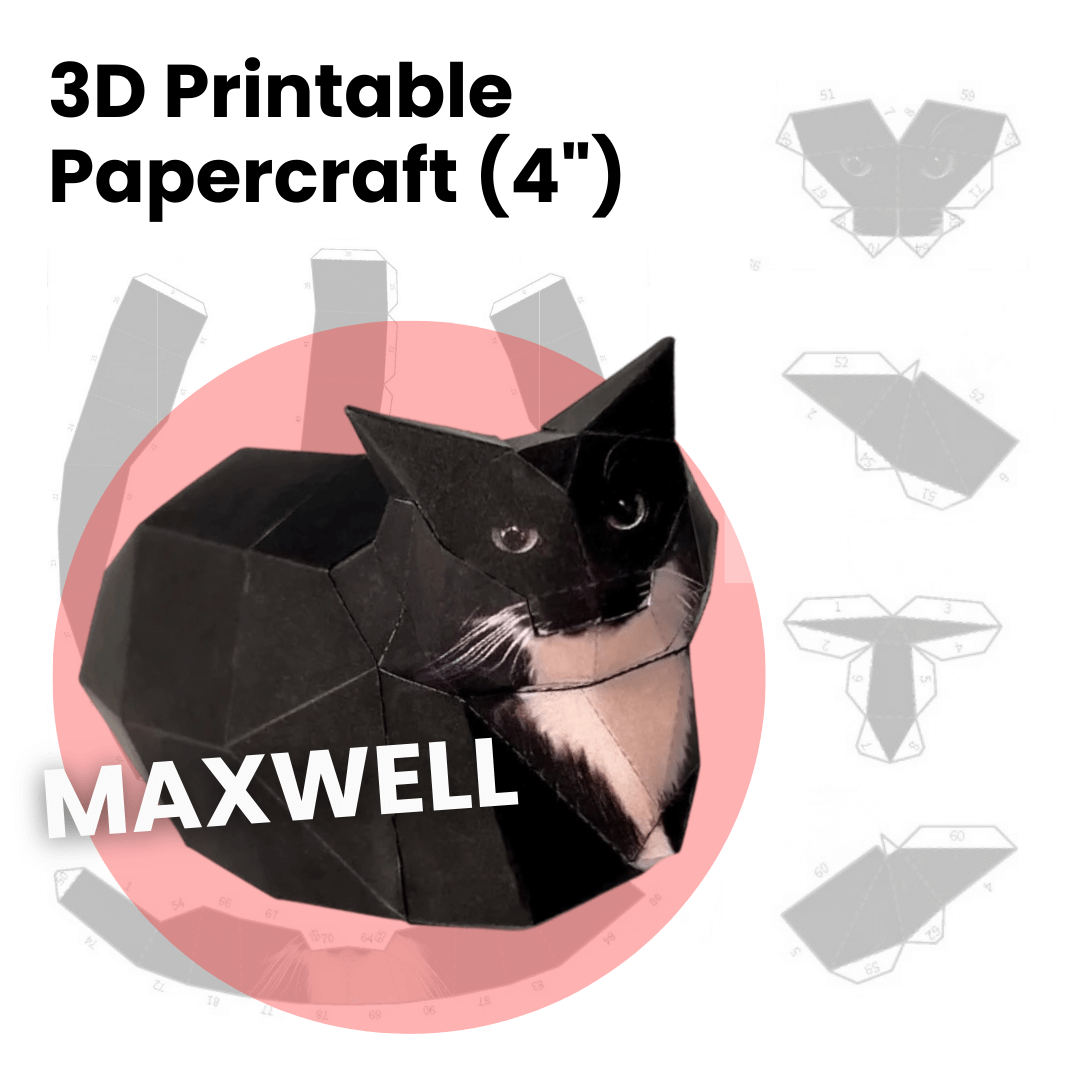 Maxwell Cat Meme Papercraft Template (Printable PDF, 4”)