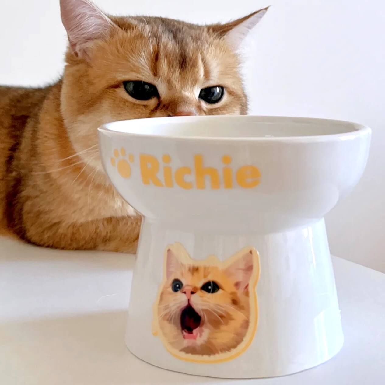 Custom Pet Portrait Elevated Ceramic Cat Dog Food Bowl with Digital File