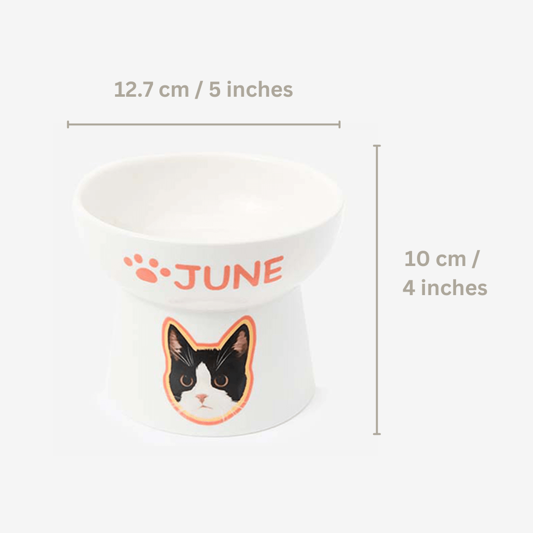 Custom Pet Portrait Elevated Ceramic Cat Dog Food Bowl with Digital File