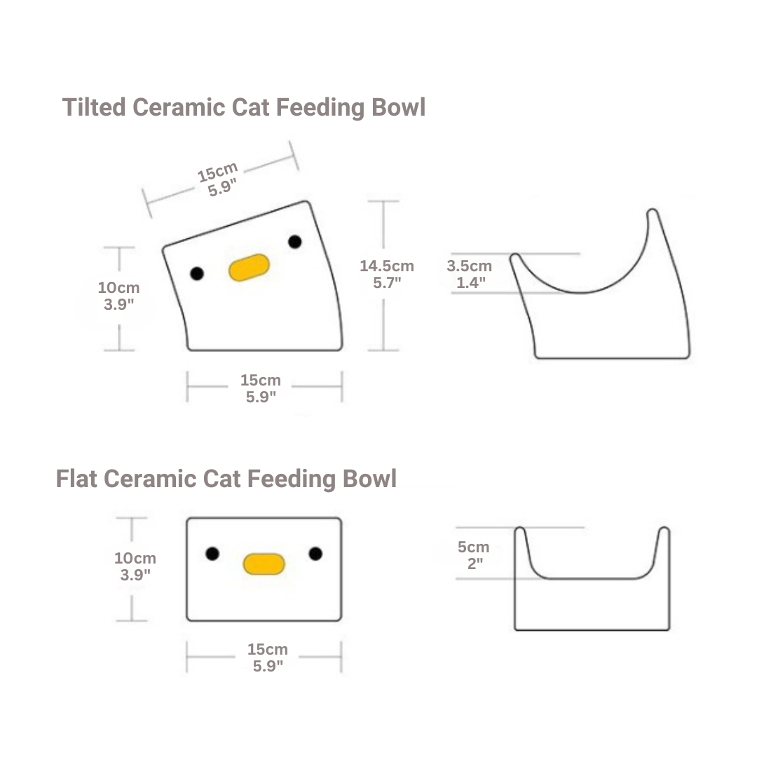 Chirpy Chick Tilted Ceramic Cat Feeding Bowl - Petites Paws