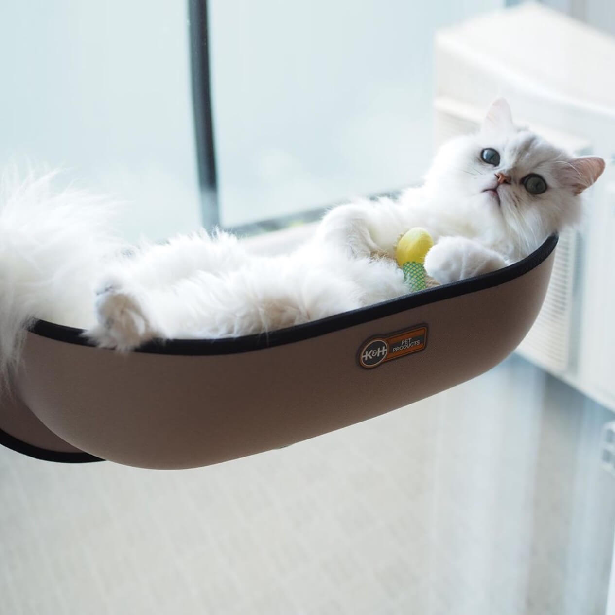 Window-Mounted Cat Perch