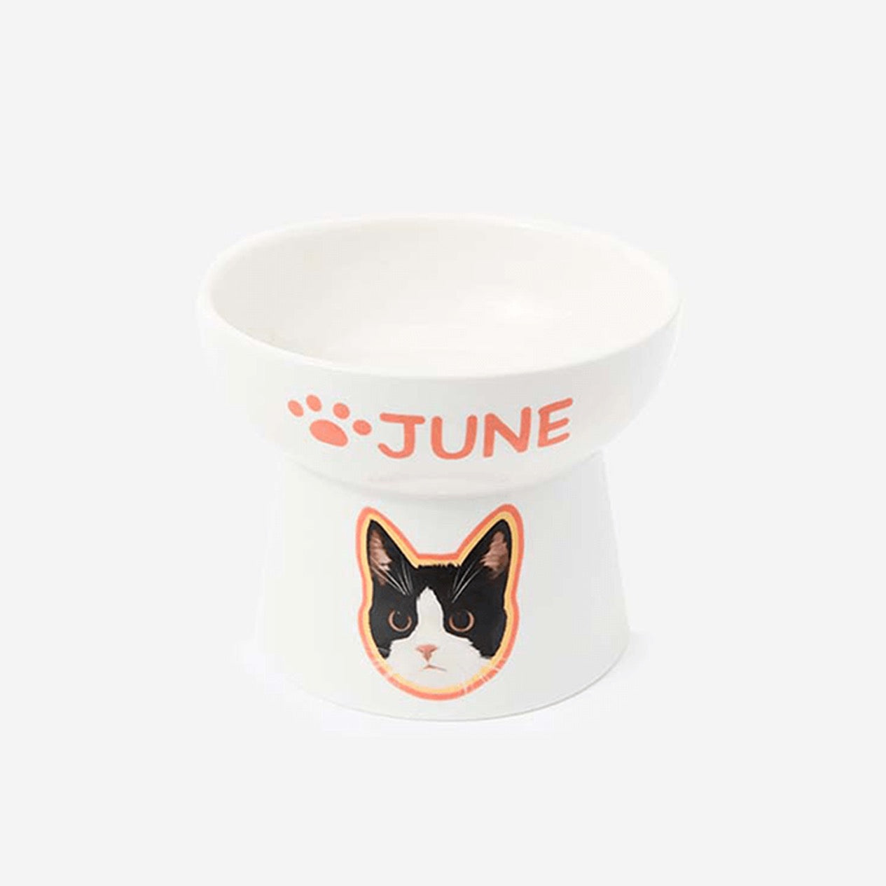 Custom Pet Portrait Elevated Ceramic Cat Dog Food Bowl with Digital File