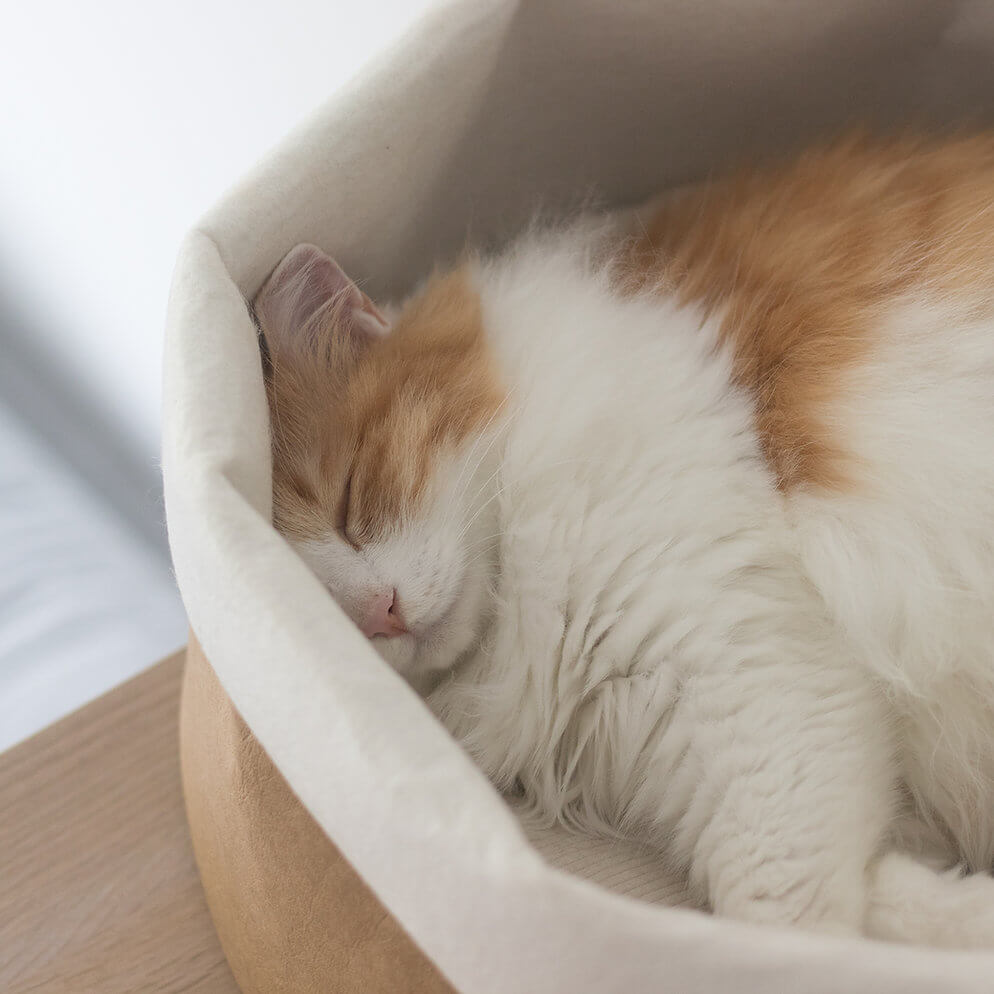 Minimalist Kraft Paper Bag Wool Cat Bed