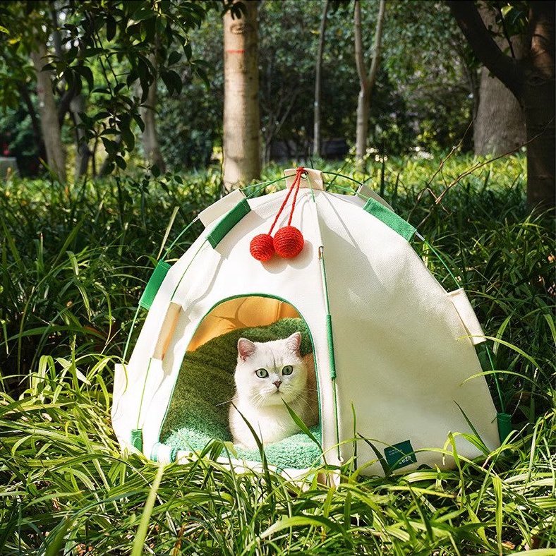 Mini tent outlet for cats