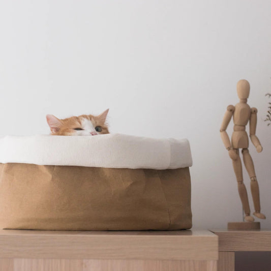 Minimalist Kraft Paper Bag Wool Cat Bed