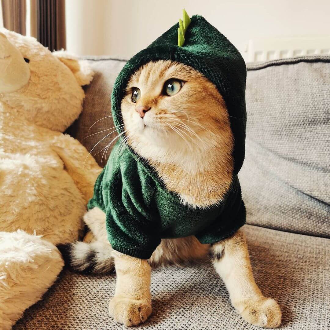 Dinosaur Cat Costume