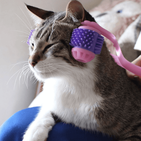 Kitty Tongue Cat Massage Roller