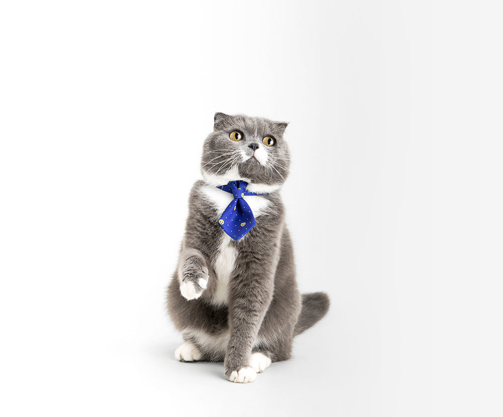 Tiger Classic Cat Necktie, Navy Blue - Petites Paws
