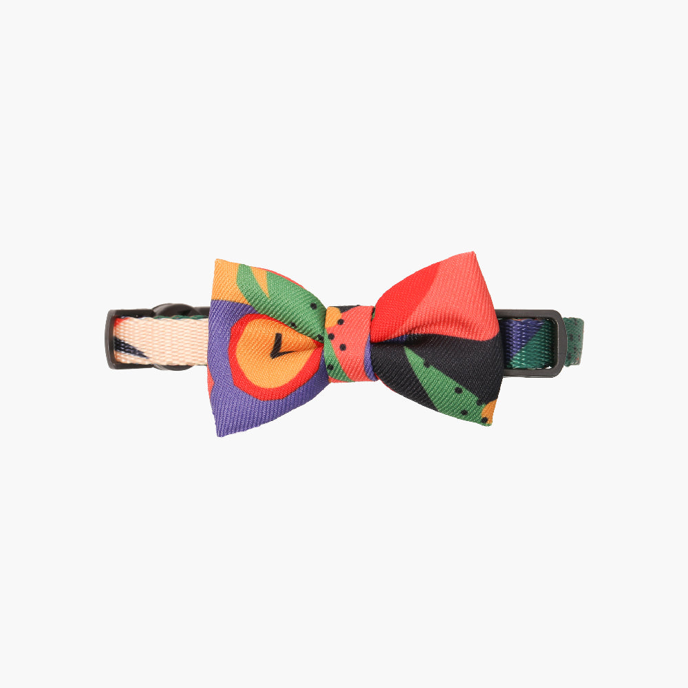 Pidan Modern Abstract Cat Collar - Petites Paws
