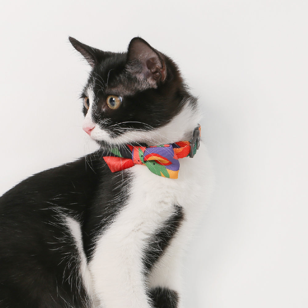 Pidan Modern Abstract Cat Collar - Petites Paws