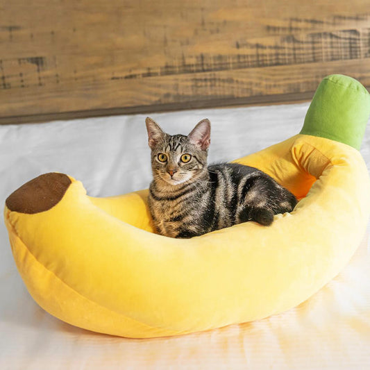 Cat in a banana boat cat bed