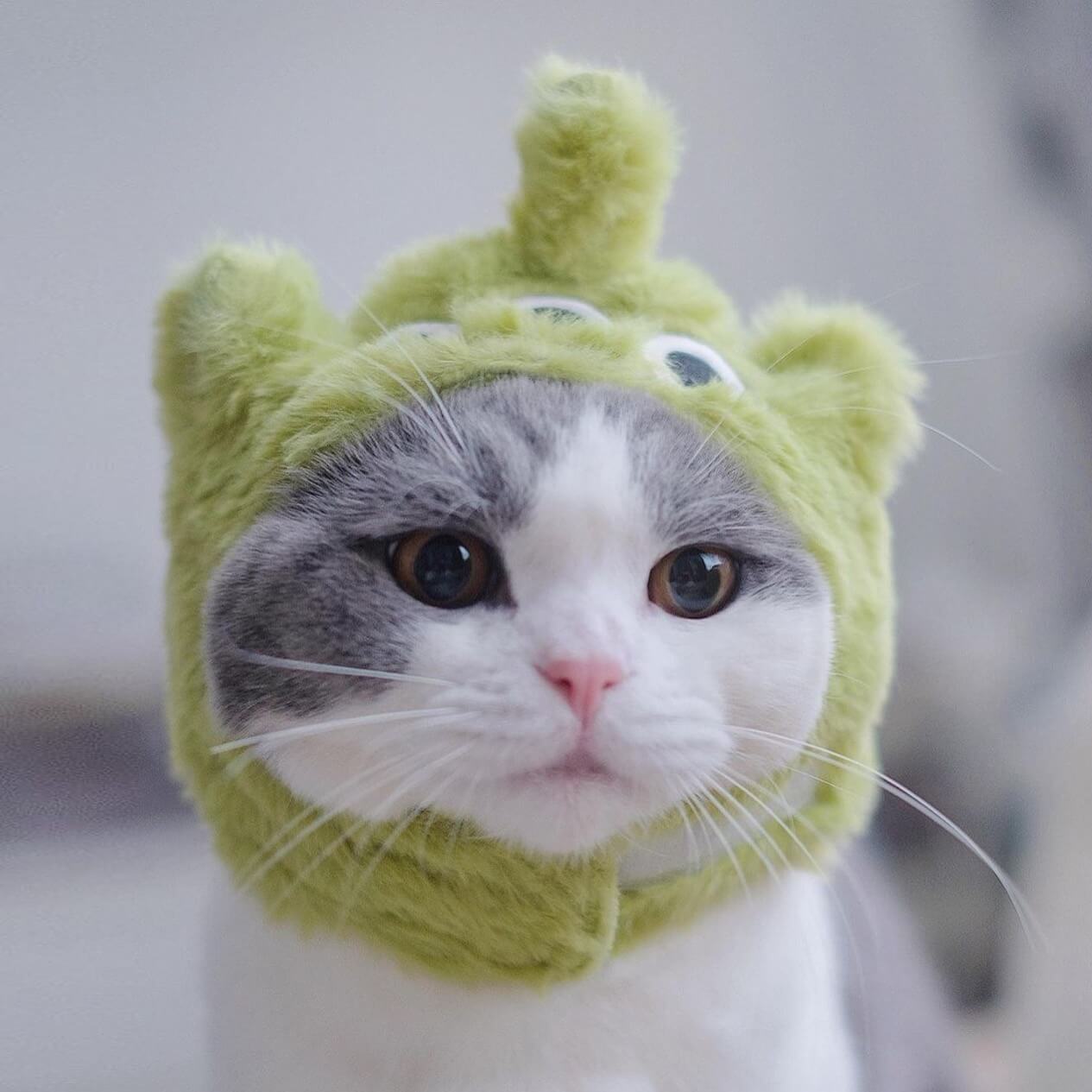 Alien Toy Story Cat Costume