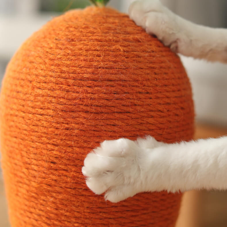 Clawsome Carrot Cat Scratching Post