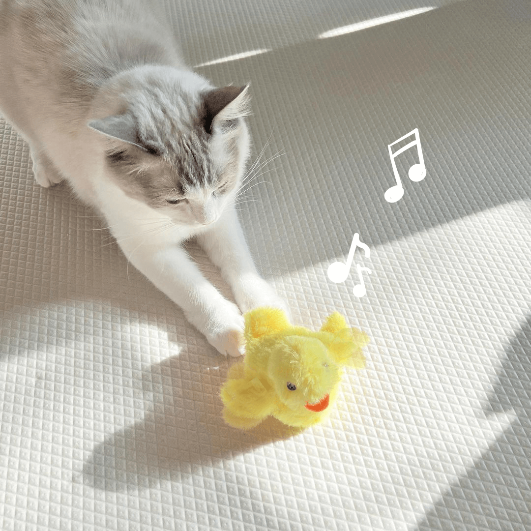 Squeaky The Dancing Duck Cat Toy