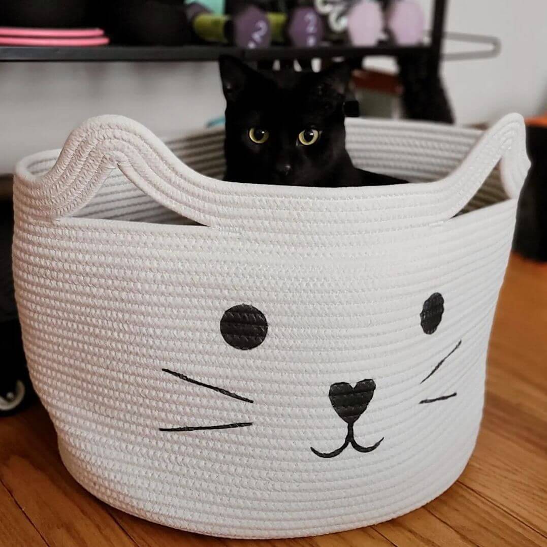 Smiling Cat Woven Basket - Petites Paws