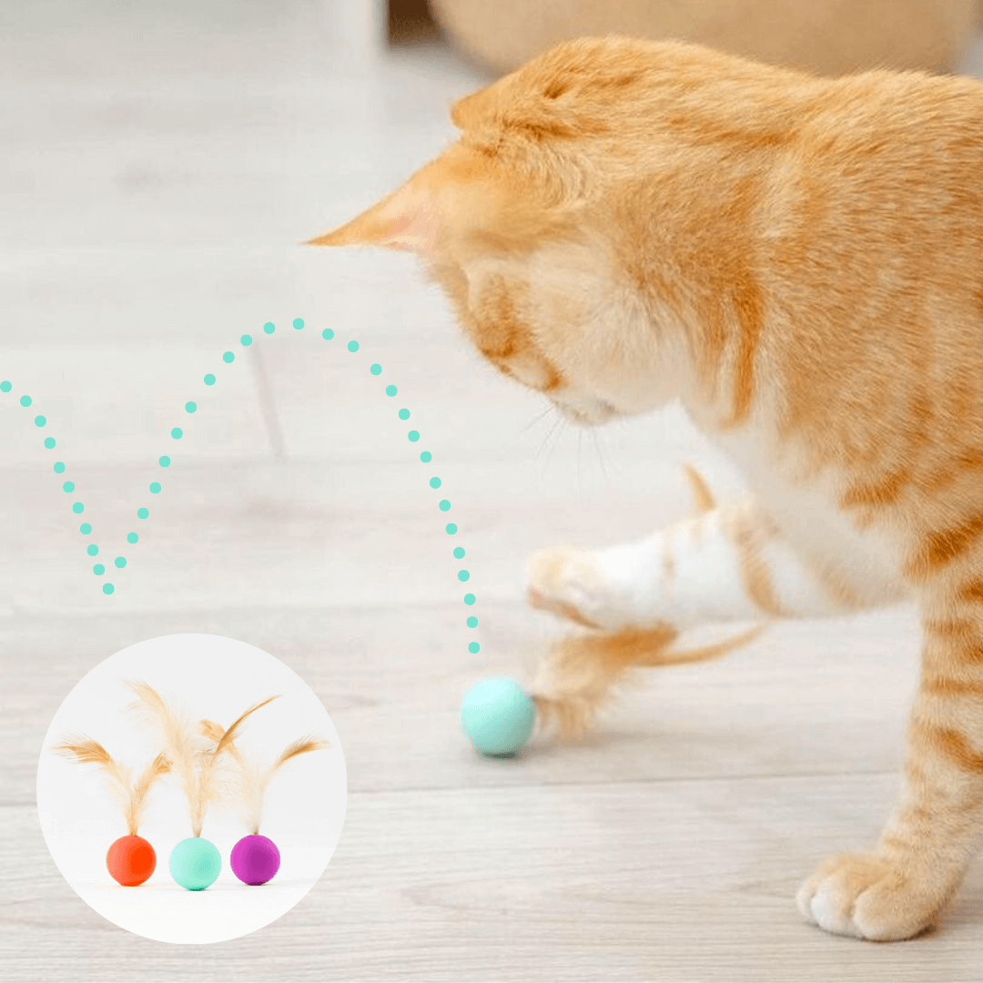 Cat play balls hot sale