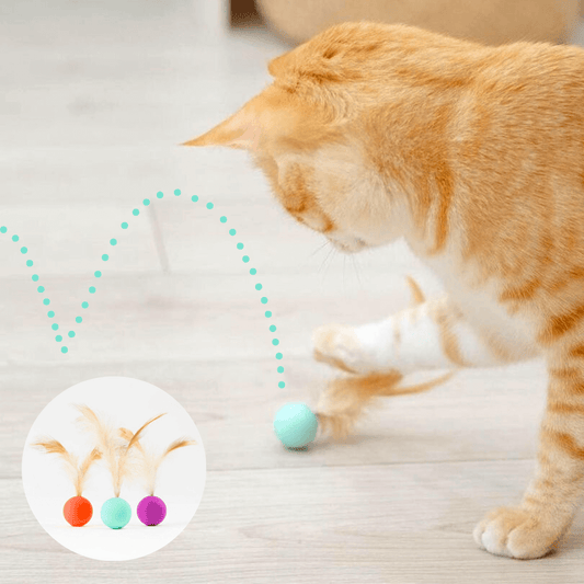 Cat playing bouncy Ball Cat Toy