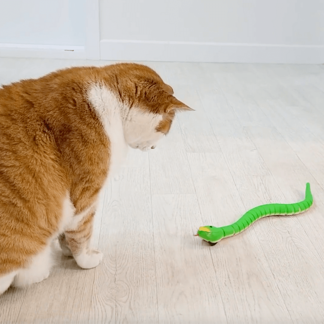 Remote control snake toy for cats hotsell