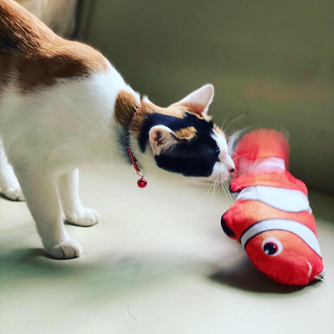 Dancing Fish Catnip Kicker Toy (Clownfish)