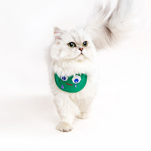 Emoji Soft Cat Bib Bandana - Petites Paws