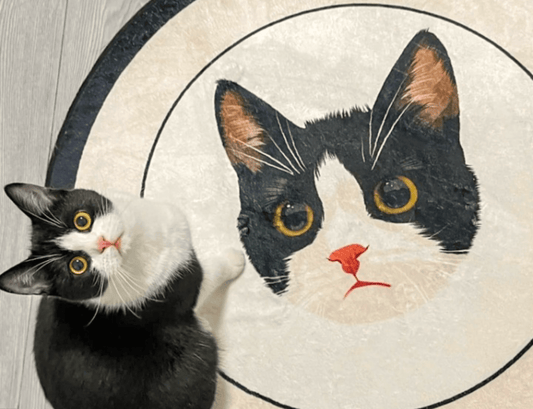 Custom Cat Portrait Products: A Comprehensive Guide for Every Cat Lover
