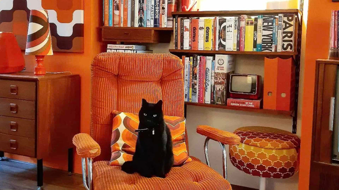 Retro Cat Products: A Nostalgic Touch for Your Feline Friend