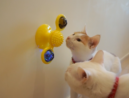 Why do cats like fidget spinners?
