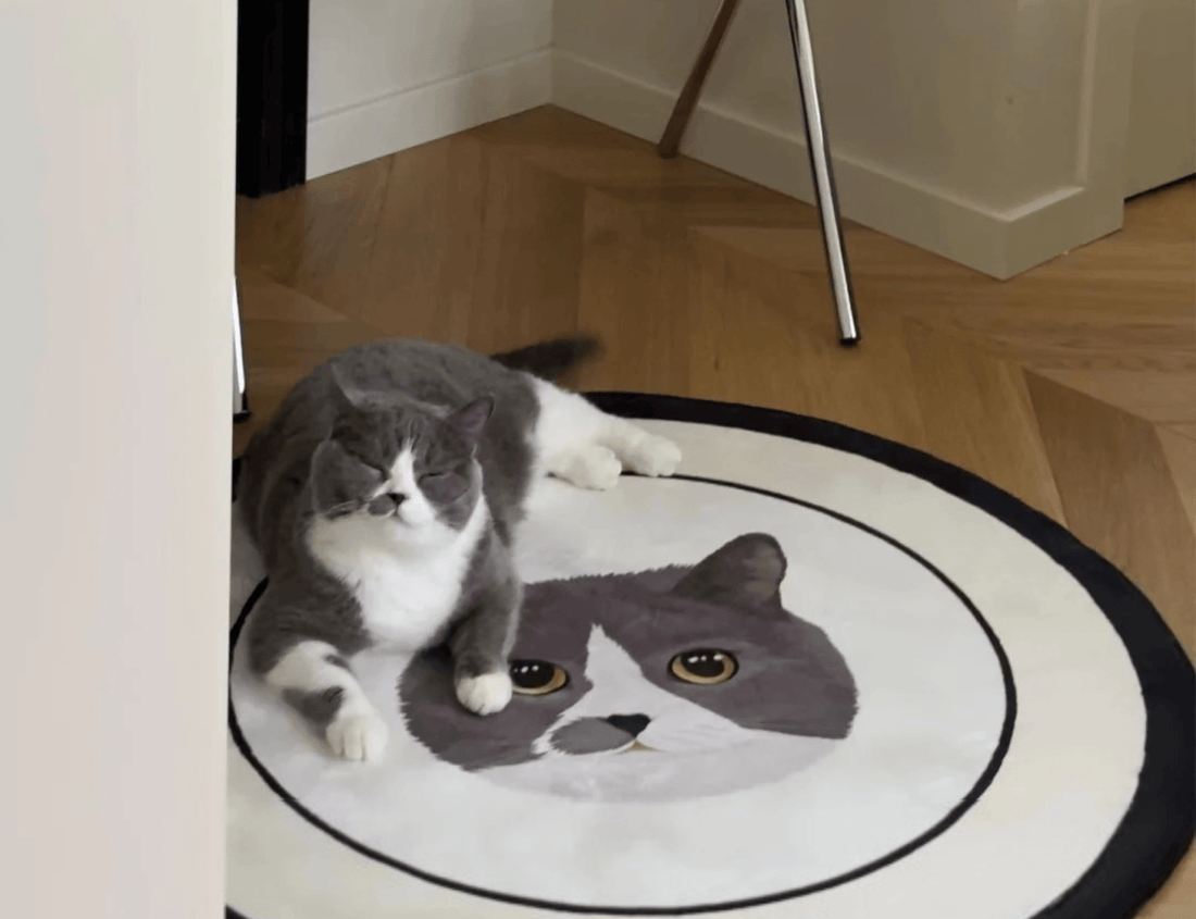 Top Personalized Gifts for Cat Owners: From Portrait Mugs to Unique Rugs