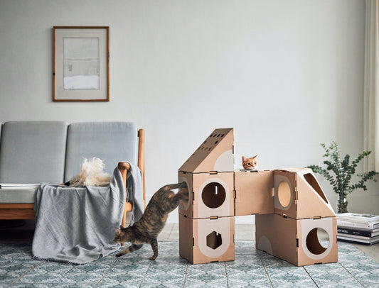 How to create a cat room?