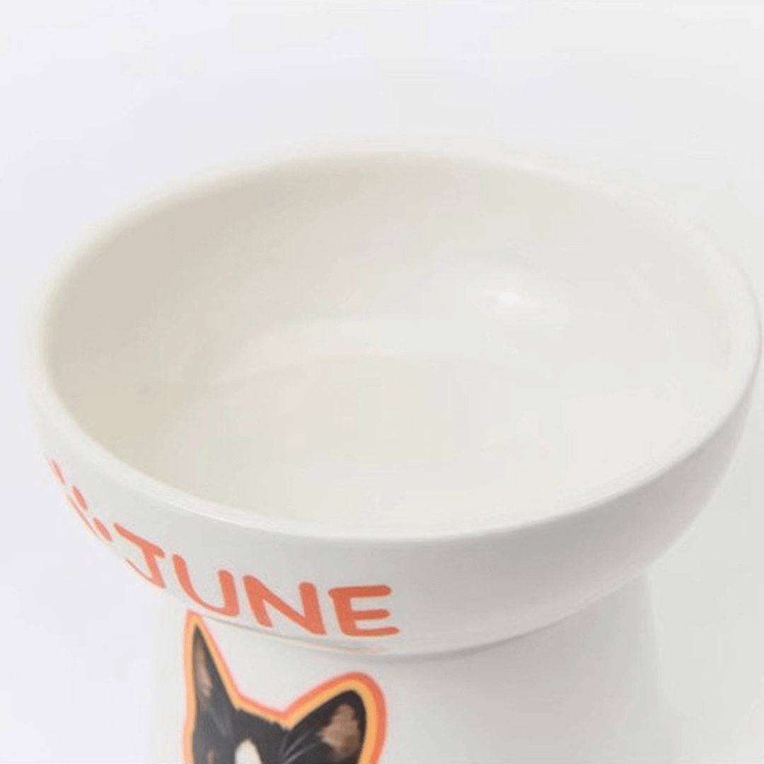 Custom Pet Portrait Elevated Ceramic Cat Dog Food Bowl with Digital File