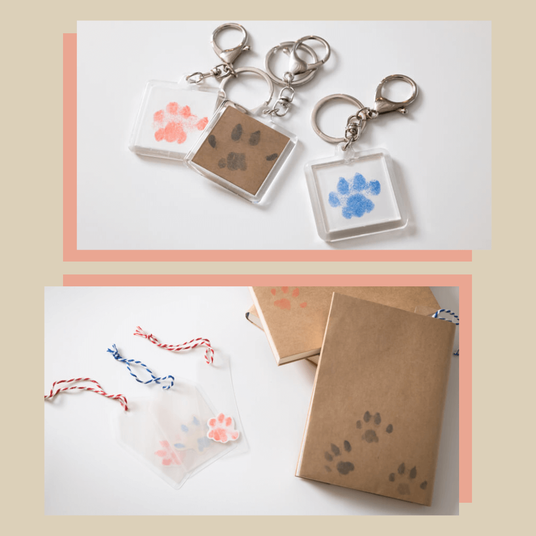 Multi-Use Reusable Inkless No Ink Touch Paw Print Kit