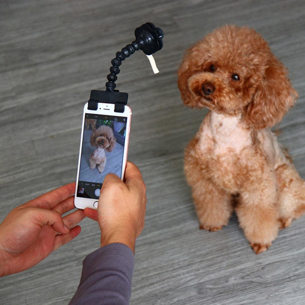 FlexyPaw - Selfie Stick for Pets - Petites Paws
