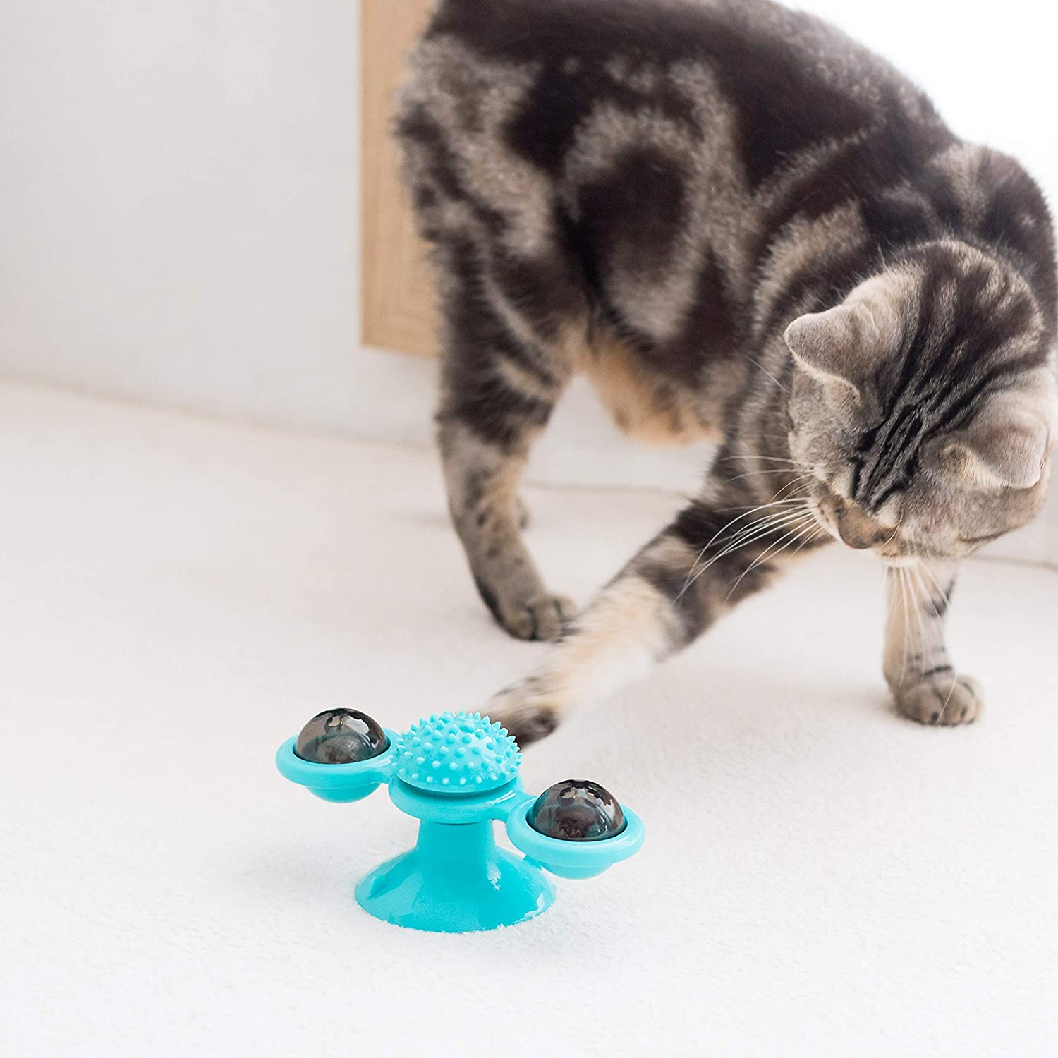 Cat spin toy best sale