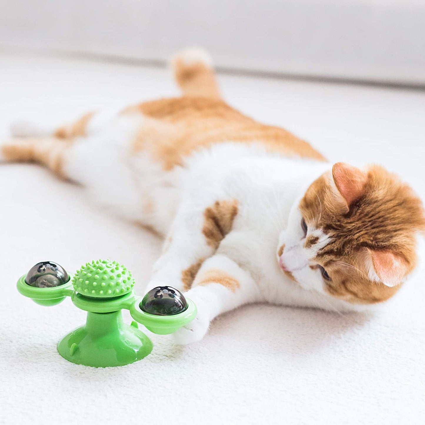 Cat Fidget Spinner - Petites Paws