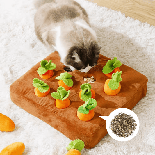 Catnip Carrot Cat Toy Cat Food Puzzle Mat