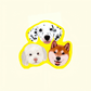 Custom Pet Portrait Blanket with Digital File - Petites Paws