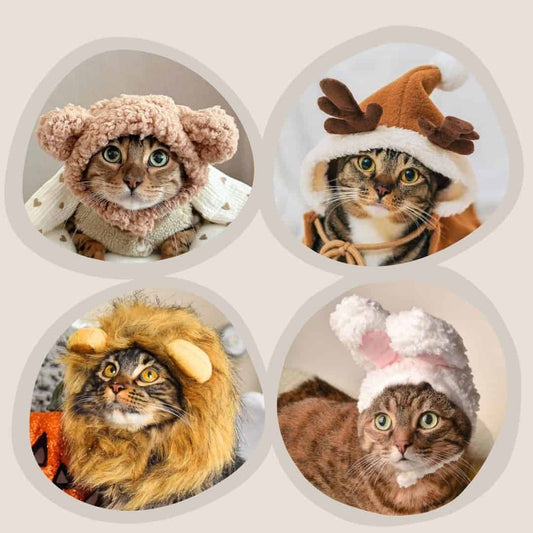 Animal Kingdom Cat Costume Set: Bunny, Bear, Lion & Reindeer