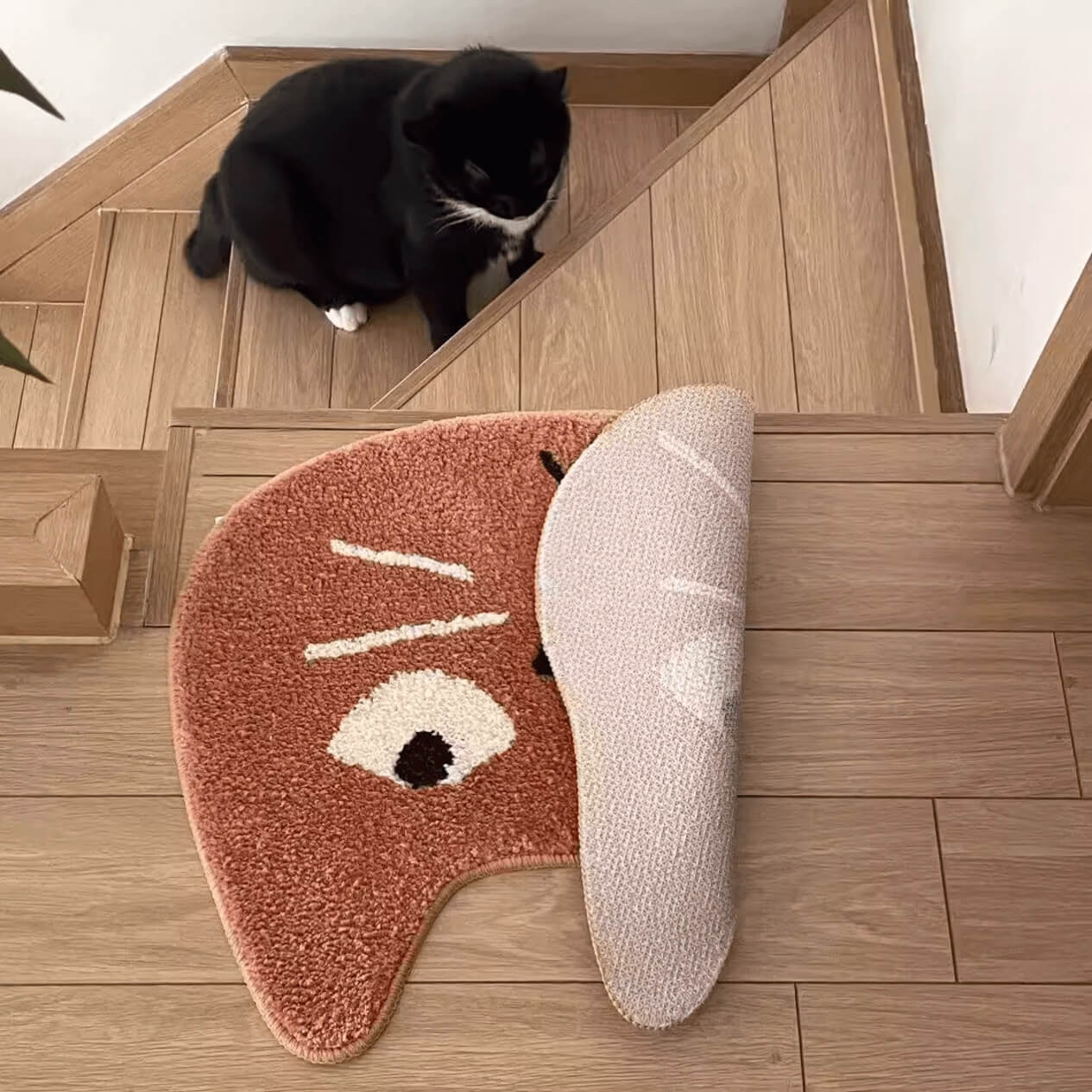 Brown Funny Cute Cat Face Rug Door mat