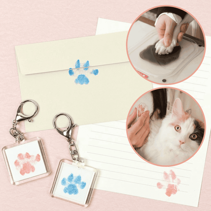 Petacchi Cat Paw Print & Whisker Keepsake Kit