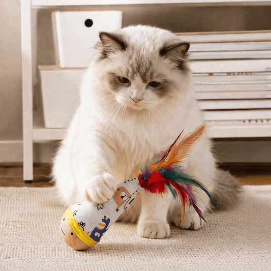 Colorful Wiggle Wooden Wobble Feather Cat Toy Roly Poly